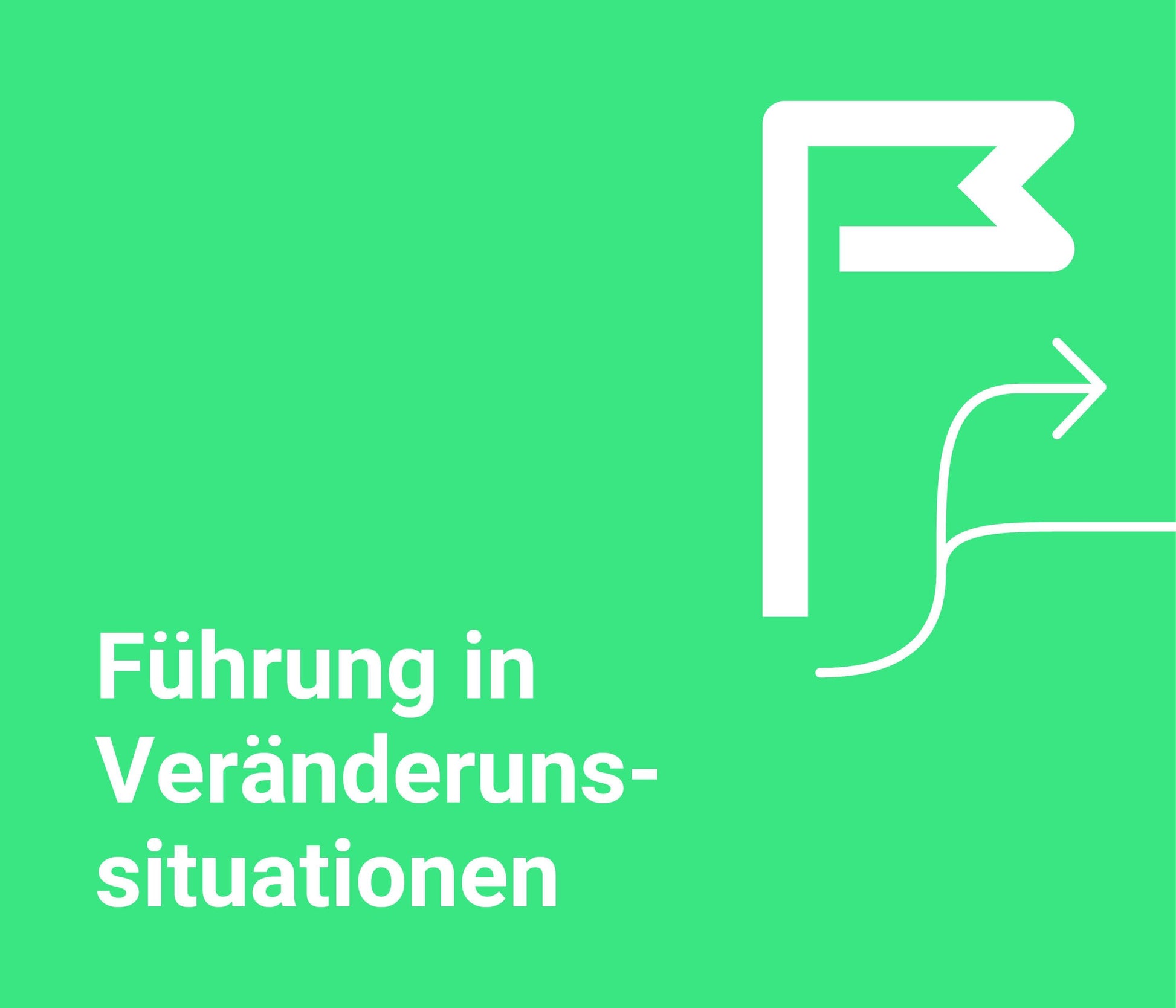 Führen in Veränderungssituationen